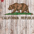 California Flag Dark Wood Nintendo 2DS XL (2017) Skin